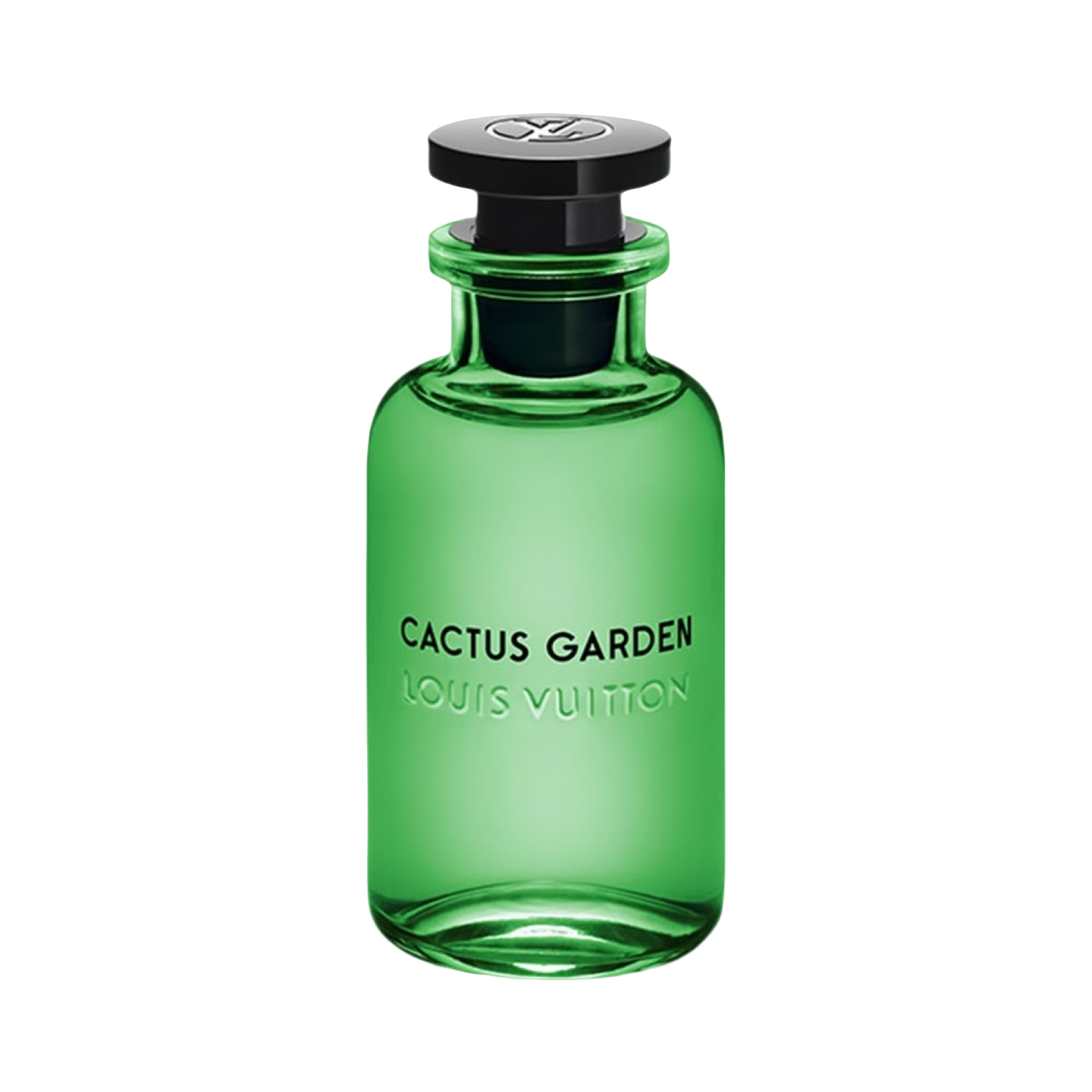 Louis Vuitton Cactus Garden